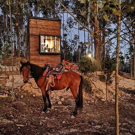 Hotel El Bosque De Paipa Exteriér fotografie