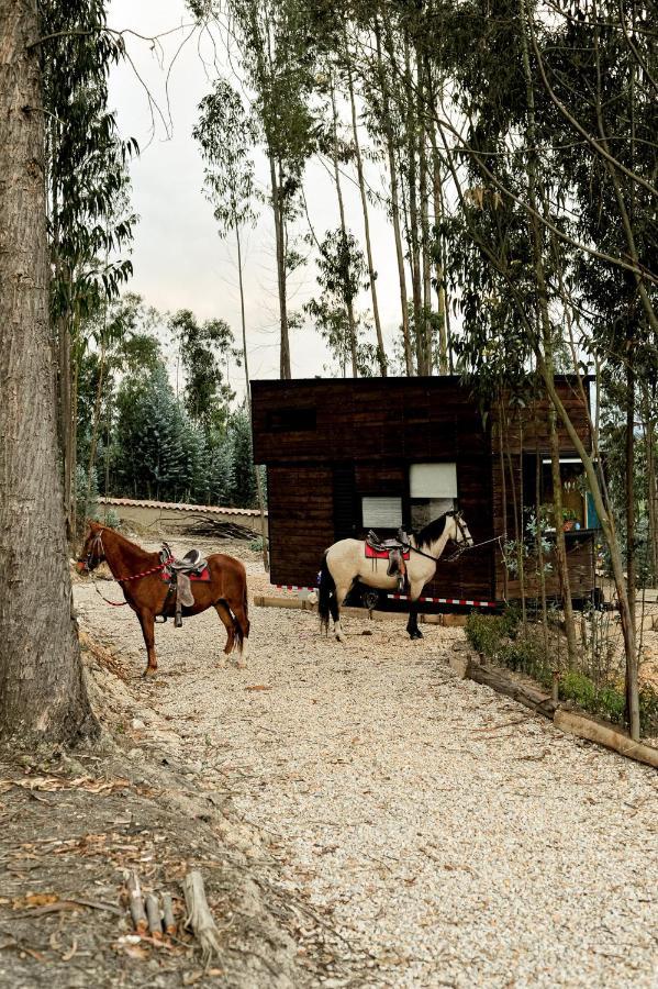 Hotel El Bosque De Paipa Exteriér fotografie