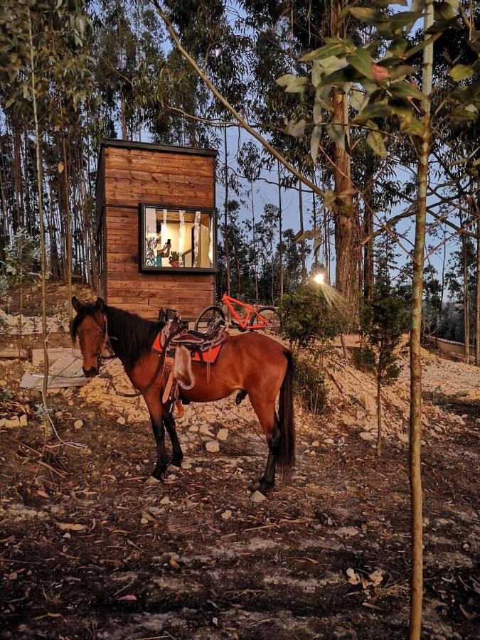 Hotel El Bosque De Paipa Exteriér fotografie